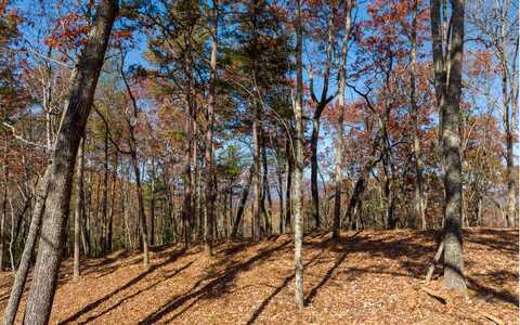 L40 Preserve Trail, Ellijay, GA 30536