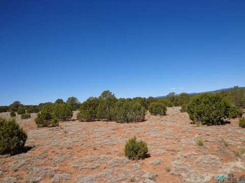 Tr 1A Camino del Sol Road, Bernal, NM 87569