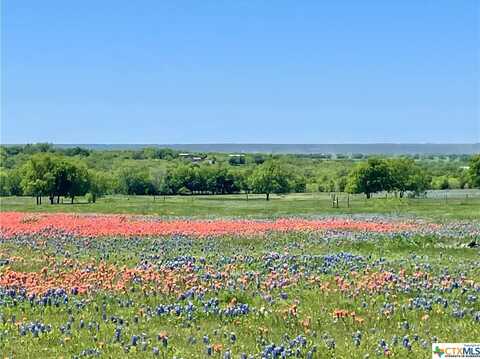 21050,20980 HORNED FROG Road, Salado, TX 76571