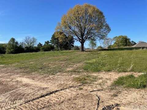 Lot 19 High Point Drive, Greenbrier, AR 72058