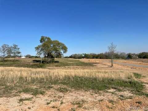 Lot 26 Summerlyn Place Drive, Greenbrier, AR 72058