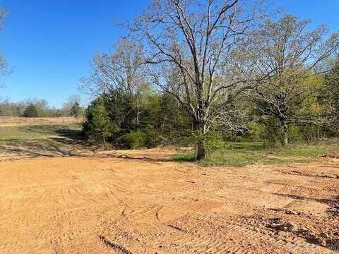 Lot 11 Summerlyn Place Drive, Greenbrier, AR 72058