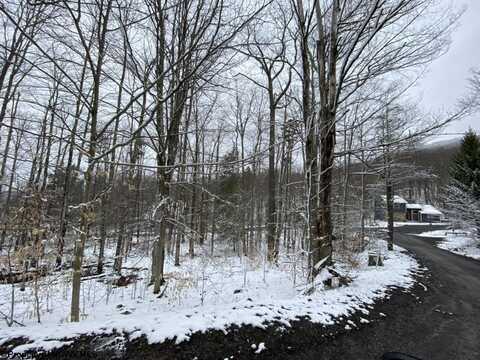 59 Slopeside Road, Davis, WV 26260