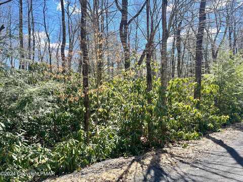 Lot C475 Treetop Lane, Albrightsville, PA 18210