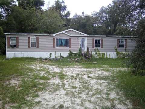 Dolphin, FLORAL CITY, FL 34436