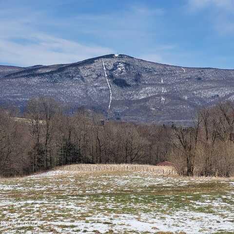 0 East Mountain Rd, Adams, MA 01220