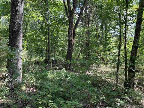 5.49 Acres on Meadow Creek Drive, Harrison, AR 72601