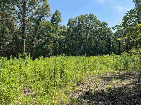 47 Cedar Crk Drive, Harrison, AR 72601