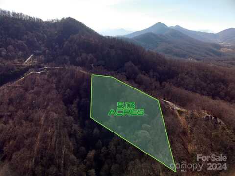 215 View Ridge Parkway, Leicester, NC 28748