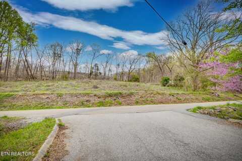 2424 Kidwell Ridge Rd, Morristown, TN 37814