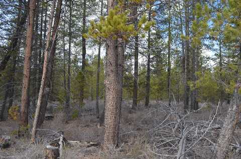 Powerline Road, Crescent, OR 97733