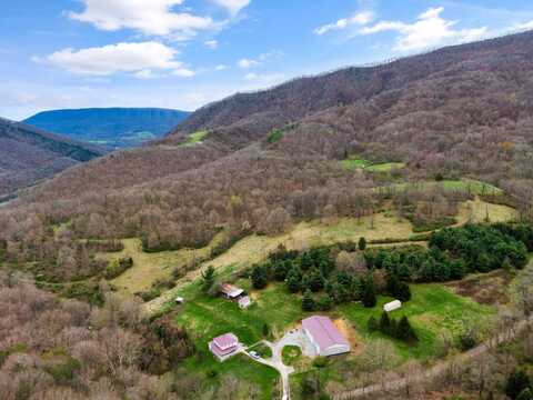 250 E ROBERTSON MOUNTAIN Road, Narrows, VA 24124