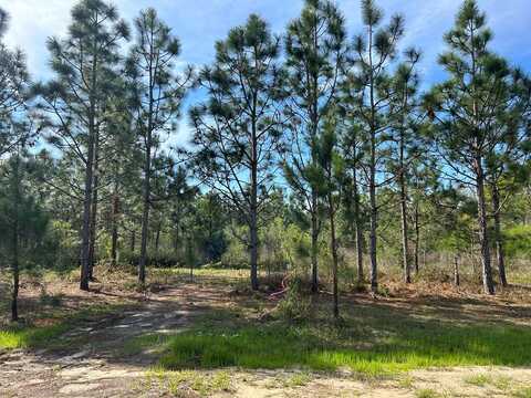 Lot 1, 2 +-ac Cty Rd 140, Headland, AL 36345