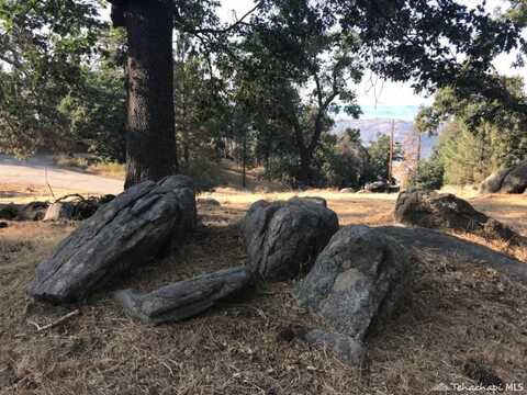 29101 Woodview Court, Tehachapi, CA 93561