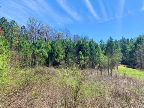 Lot 43 River Front Dr., SPARTA, TN 38583