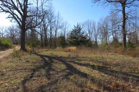 000 Tbd Old Jericho Road, Seymour, MO 65746