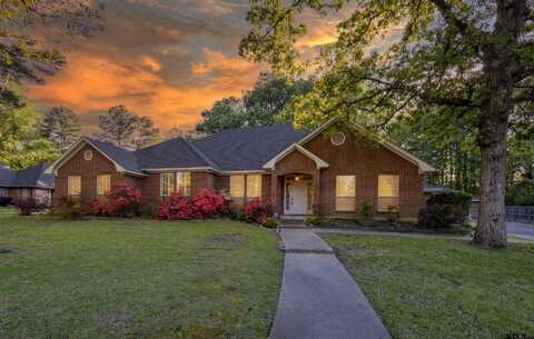 408 Shady Bend, Quitman, TX 75783