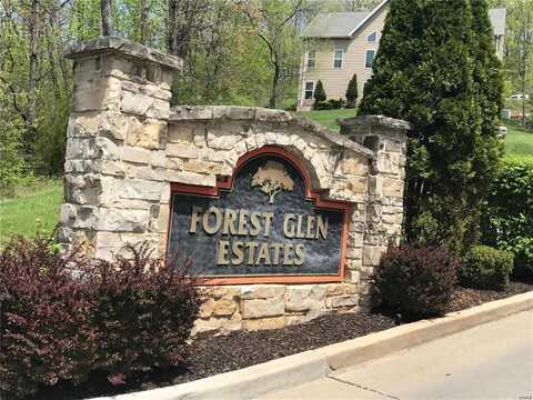 2863 Forest Glen Drive, Pacific, MO 63069