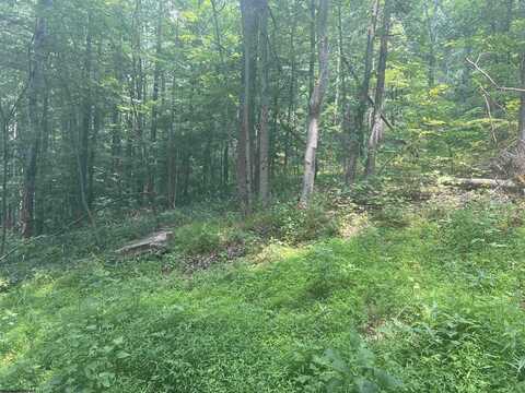 TBD Rock Camp Road, Wallace, WV 26448