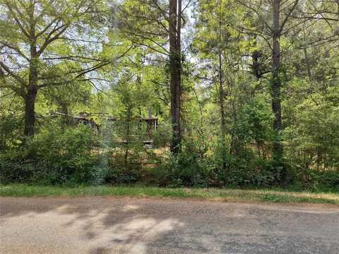 3196 Goodwin Road, Hooks, TX 75561