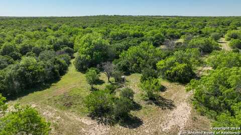 48.25 Acres County Road 114, George West, TX 78466