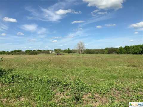 0 S Parker Avenue, Nixon, TX 78140