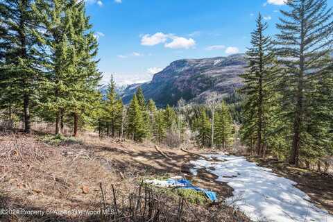 TBD Elk Mountain Dr Drive, Redstone, CO 81623