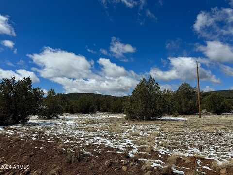 0 Shannondoah Trail, Seligman, AZ 86337