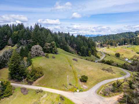 3521 Williams Ranch Road, Willits, CA 95490