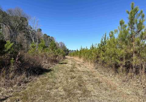 Tract A Holliman Rd., Greeleyville, SC 29056