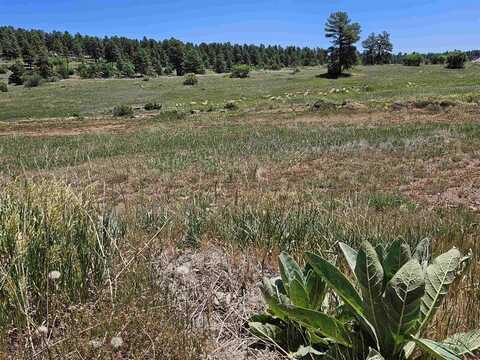 523 Trails Boulevard, Pagosa Springs, CO 81147