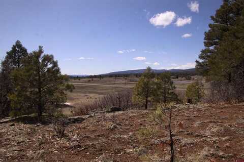 173 Pacifico Drive, Pagosa Springs, CO 81147