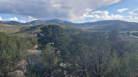 11 CACTUS RD, South Fork, CO 81154