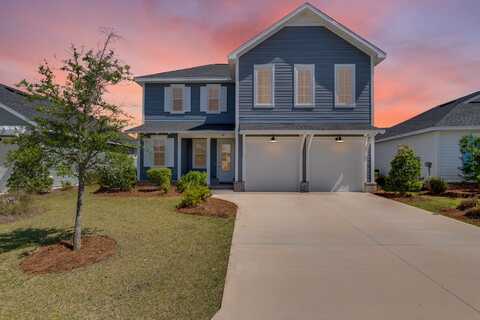 45 Cambium Court, Inlet Beach, FL 32461