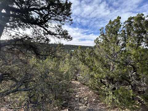 Lost Valley Loop, Cedar Crest, NM 87008