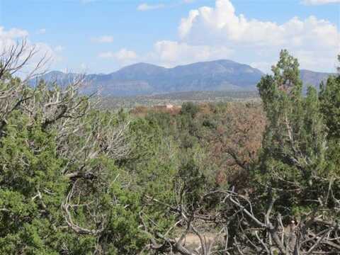 Stagecoach Road, Sandia Park, NM 87047