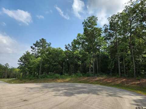 3281 Shadow Pine (Lot 64 & L5), LaRue, TX 75770