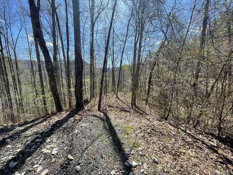 Lot 277 Pepperbush Drive, Tuckasegee, NC 28783