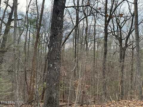Blue Springs Way, Sevierville, TN 37862