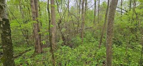 LOT 1 CUBA MILLINGTON, Millington, TN 38053