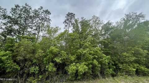 Lobouy Road, Pass Christian, MS 39571