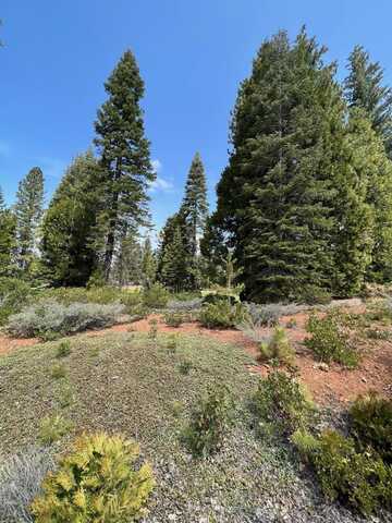 56 Idylberry Drive, Lake Almanor, CA 96137