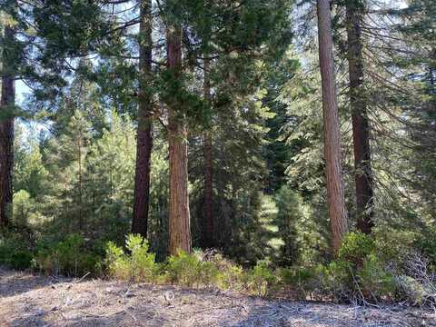 79 Fox Pine Drive, Lake Almanor, CA 96137