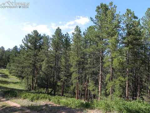 4415 Elati Road, Larkspur, CO 80118