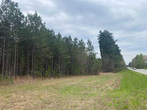 Colonial Trail HIghway, Blackstone, VA 23824