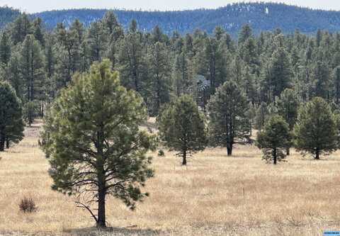 23 Mail Hollow Trail, Datil, NM 87824