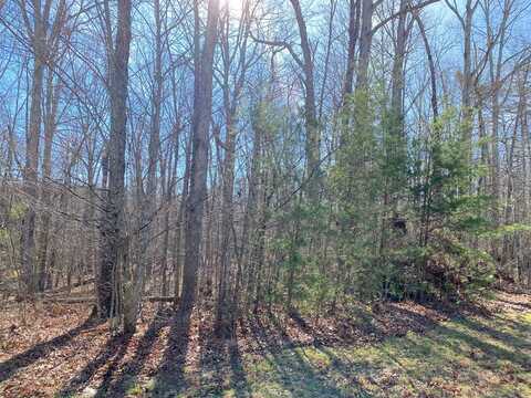 Hawks Bluff Rd, Spencer, TN 38585