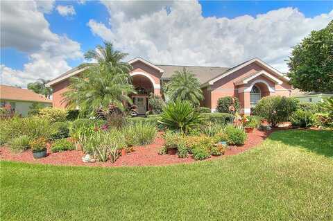 Gants, KISSIMMEE, FL 34744