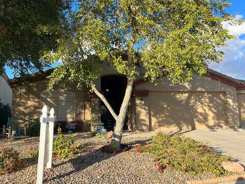 Rattlesnake, CASA GRANDE, AZ 85122