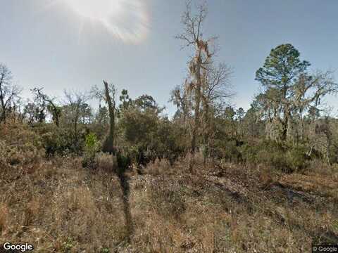 16Th, WILLISTON, FL 32696